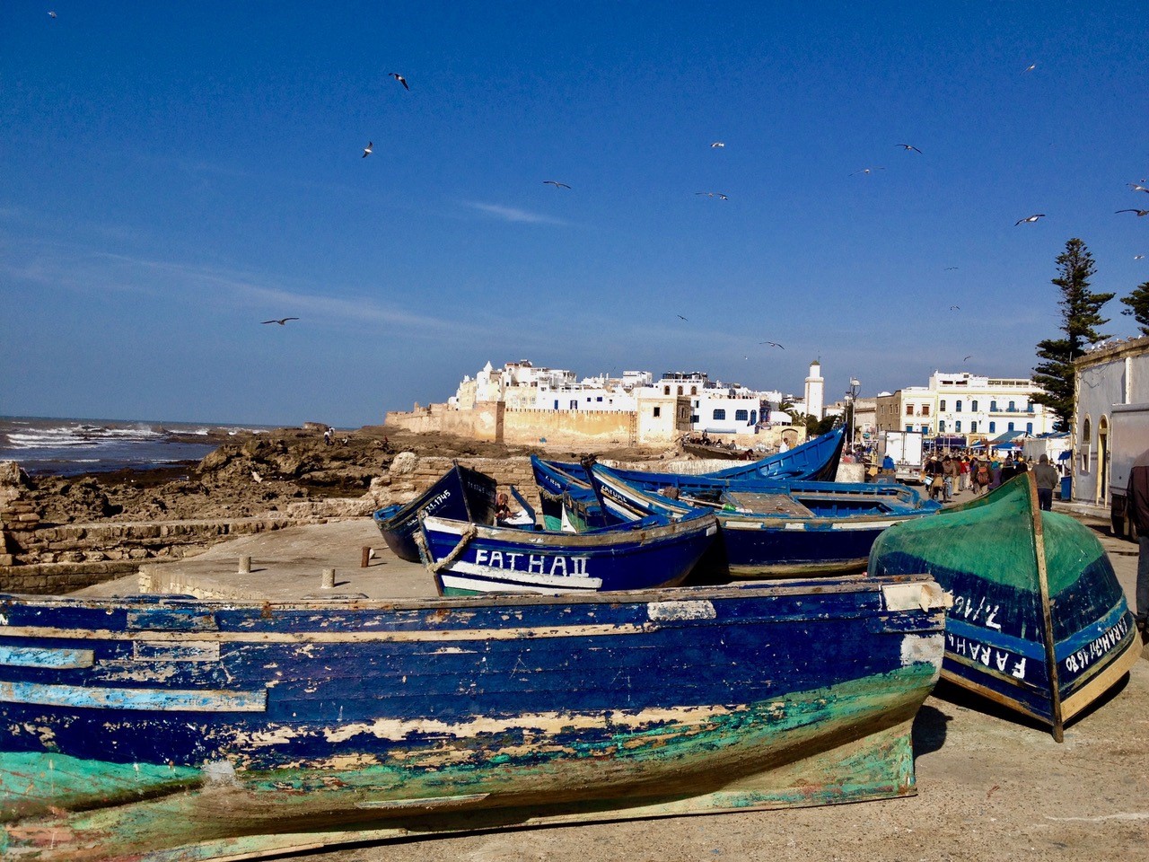 Blå båter i havna i Essaouira