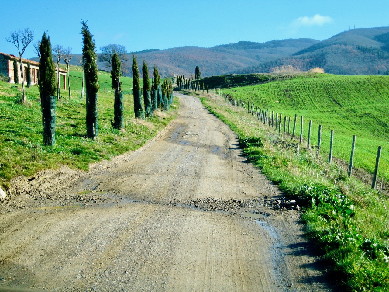 Sykkelferie i Toscana Grusvei med sypresser
